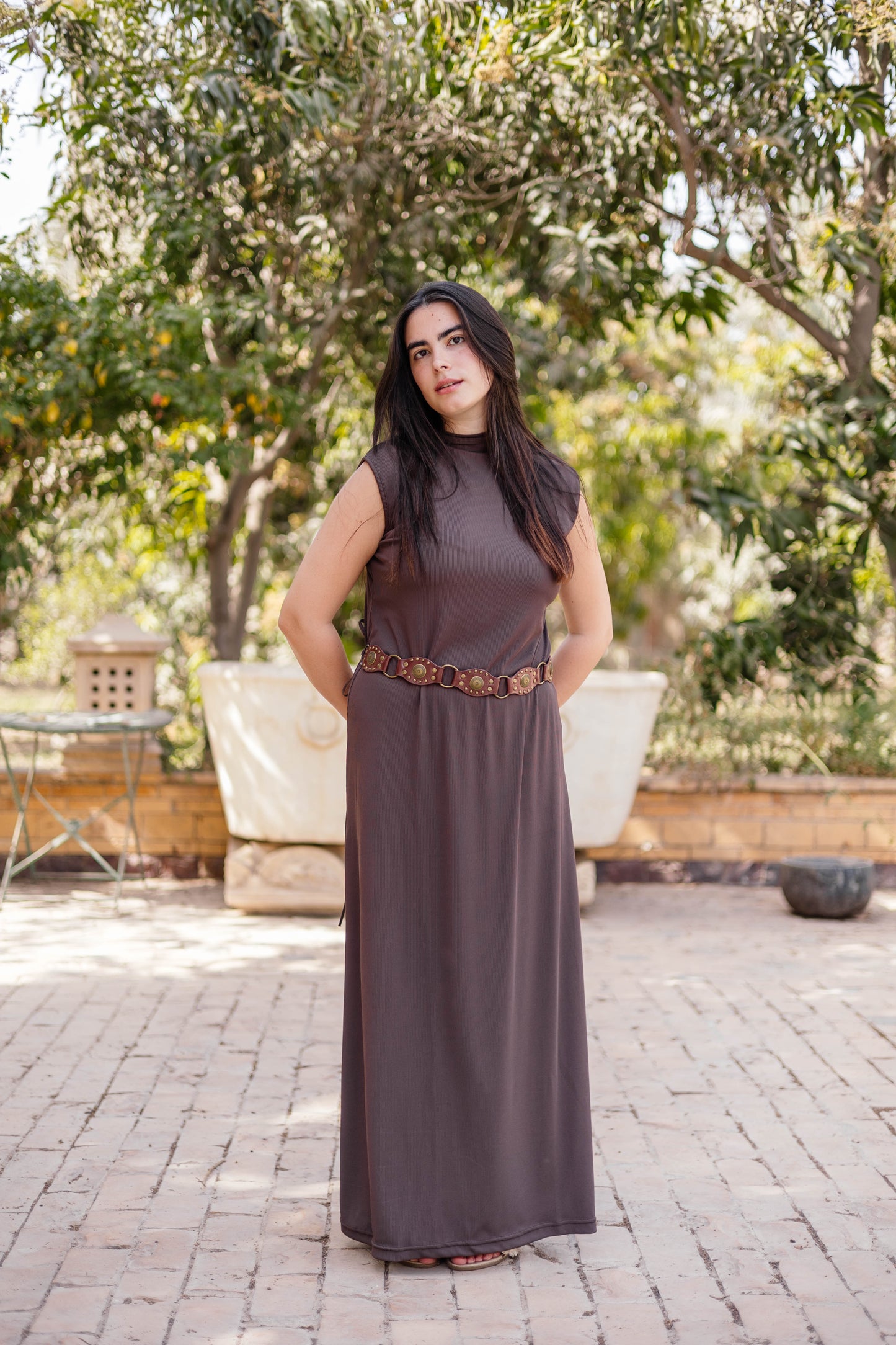 Brown Sleeveless Basic Dress