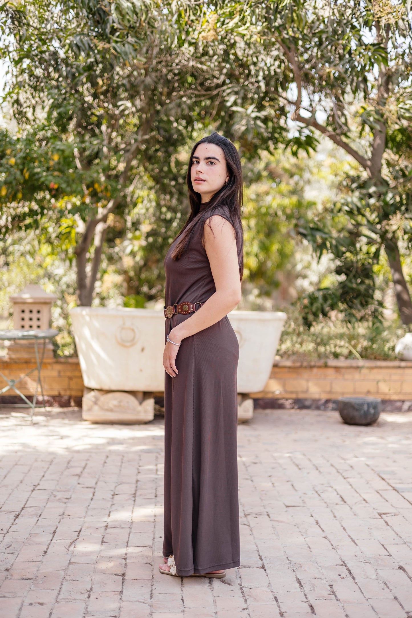 Brown Sleeveless Basic Dress