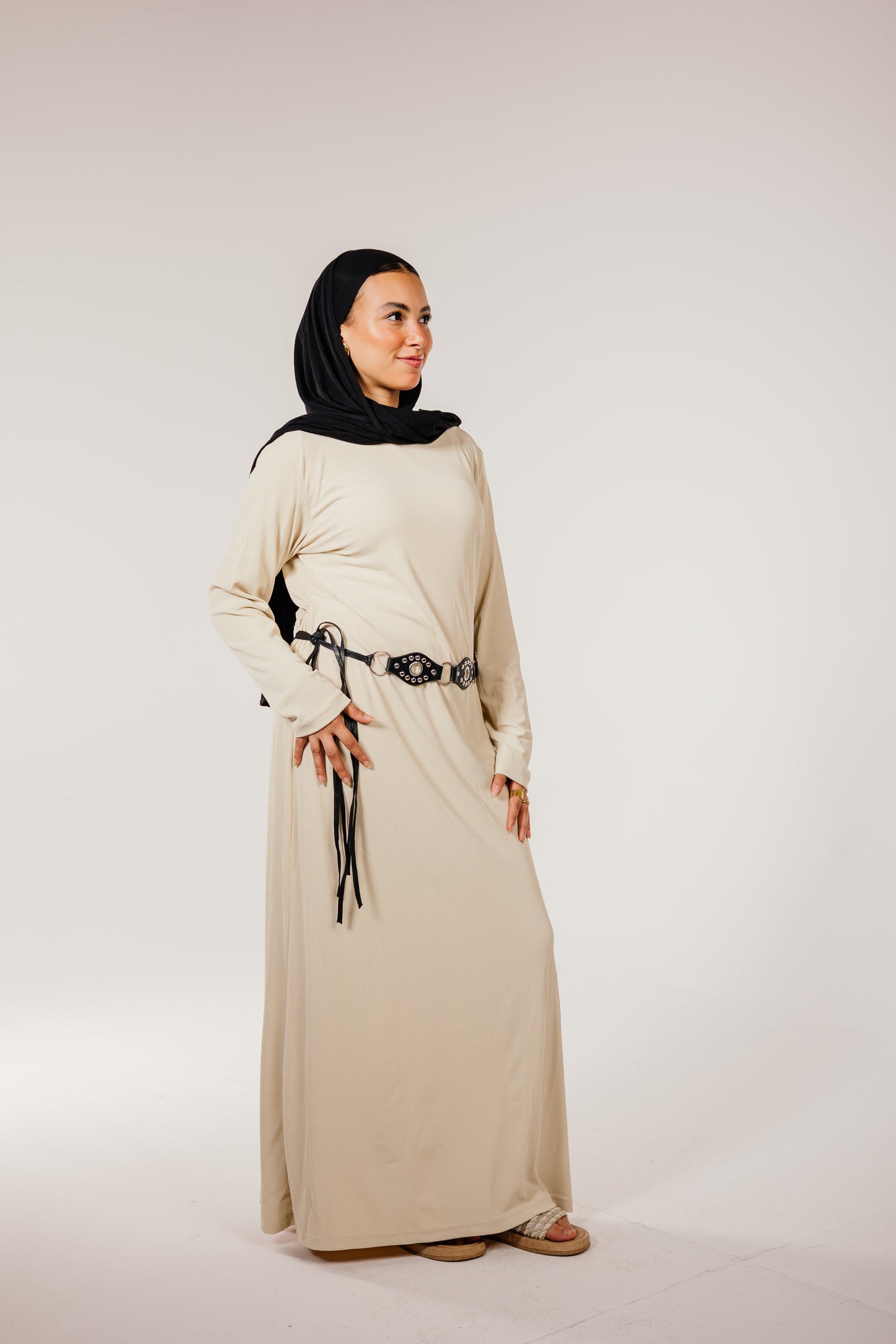 Beige Long Sleeve Basic Dress