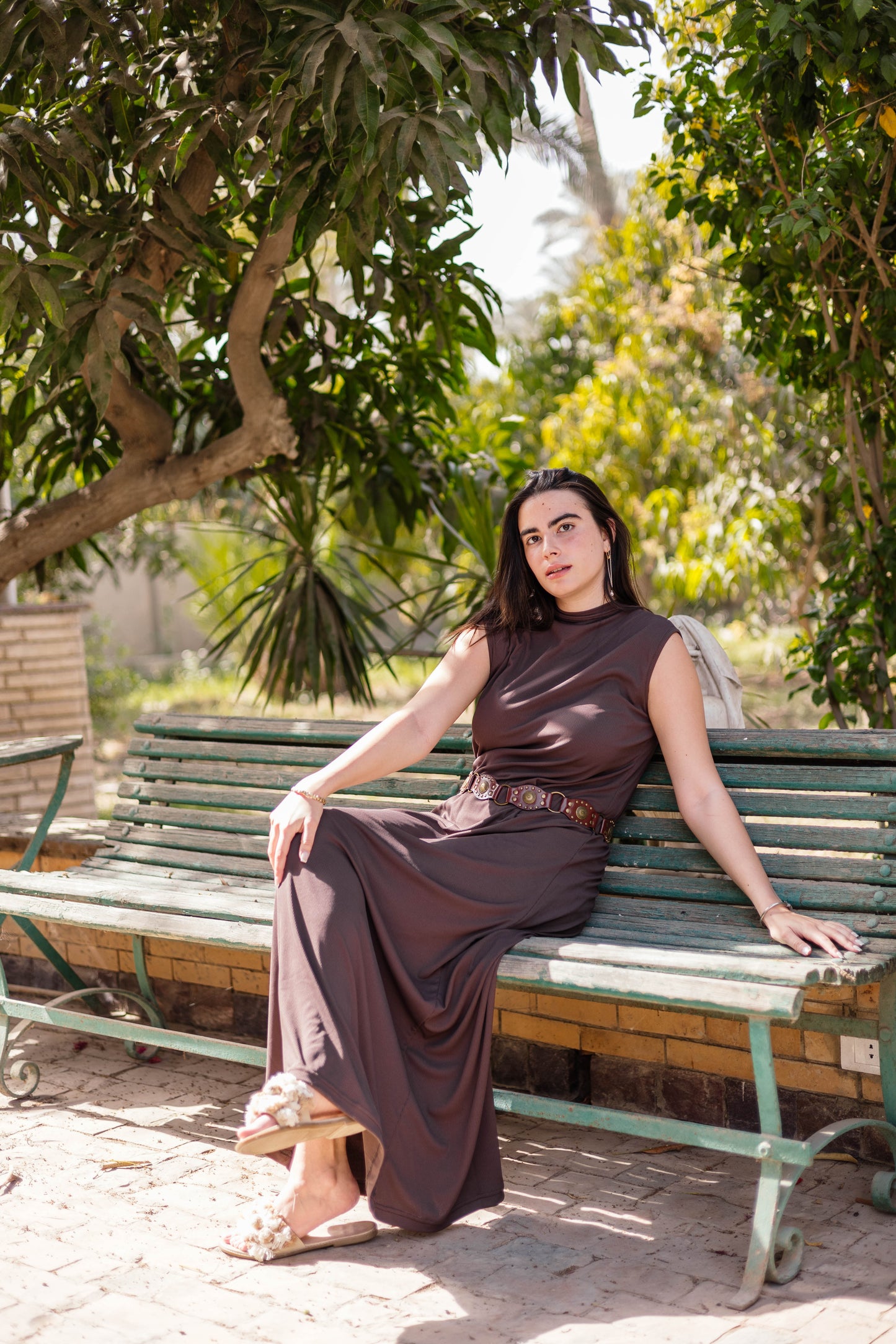 Brown Sleeveless Basic Dress