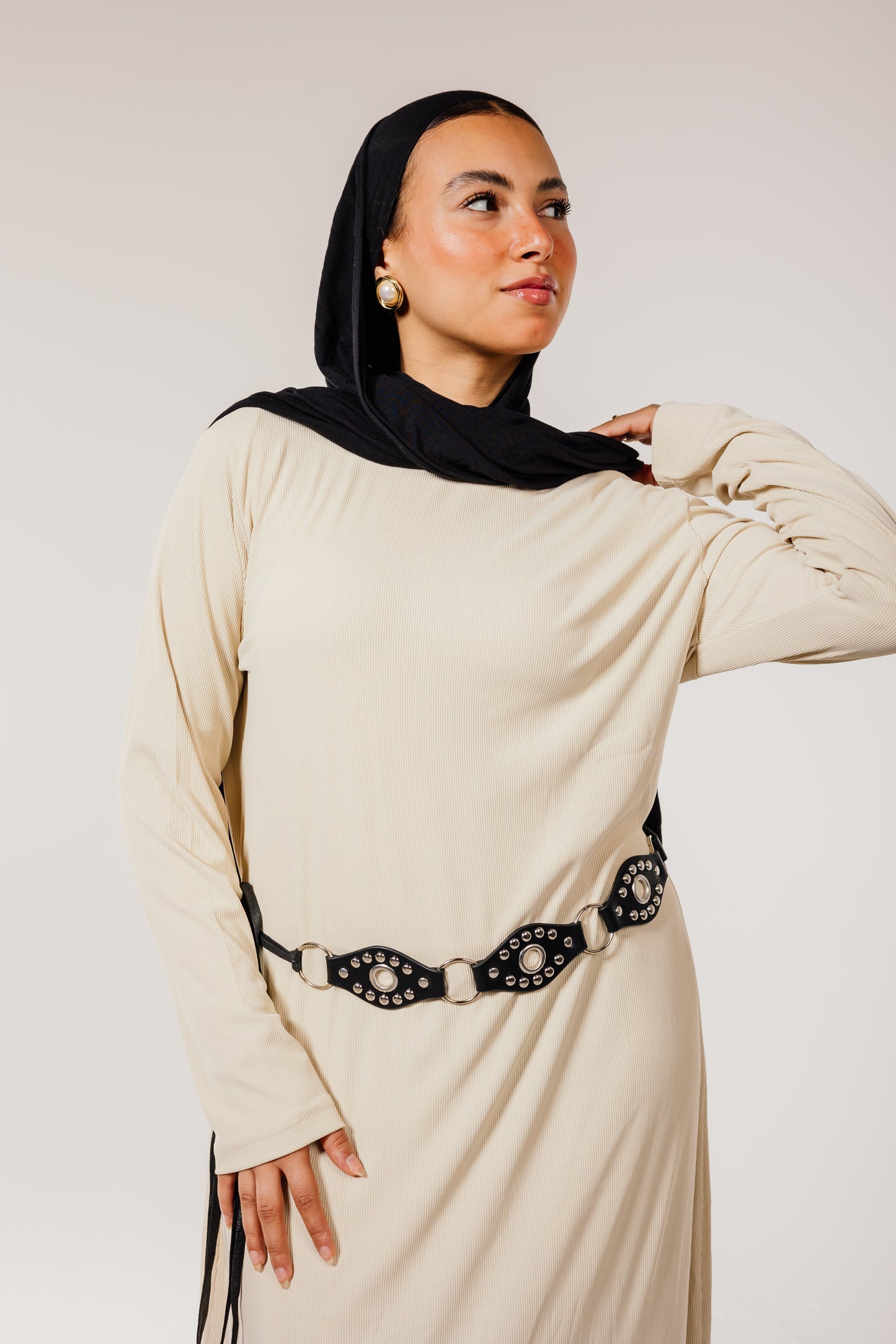 Beige Long Sleeve Basic Dress
