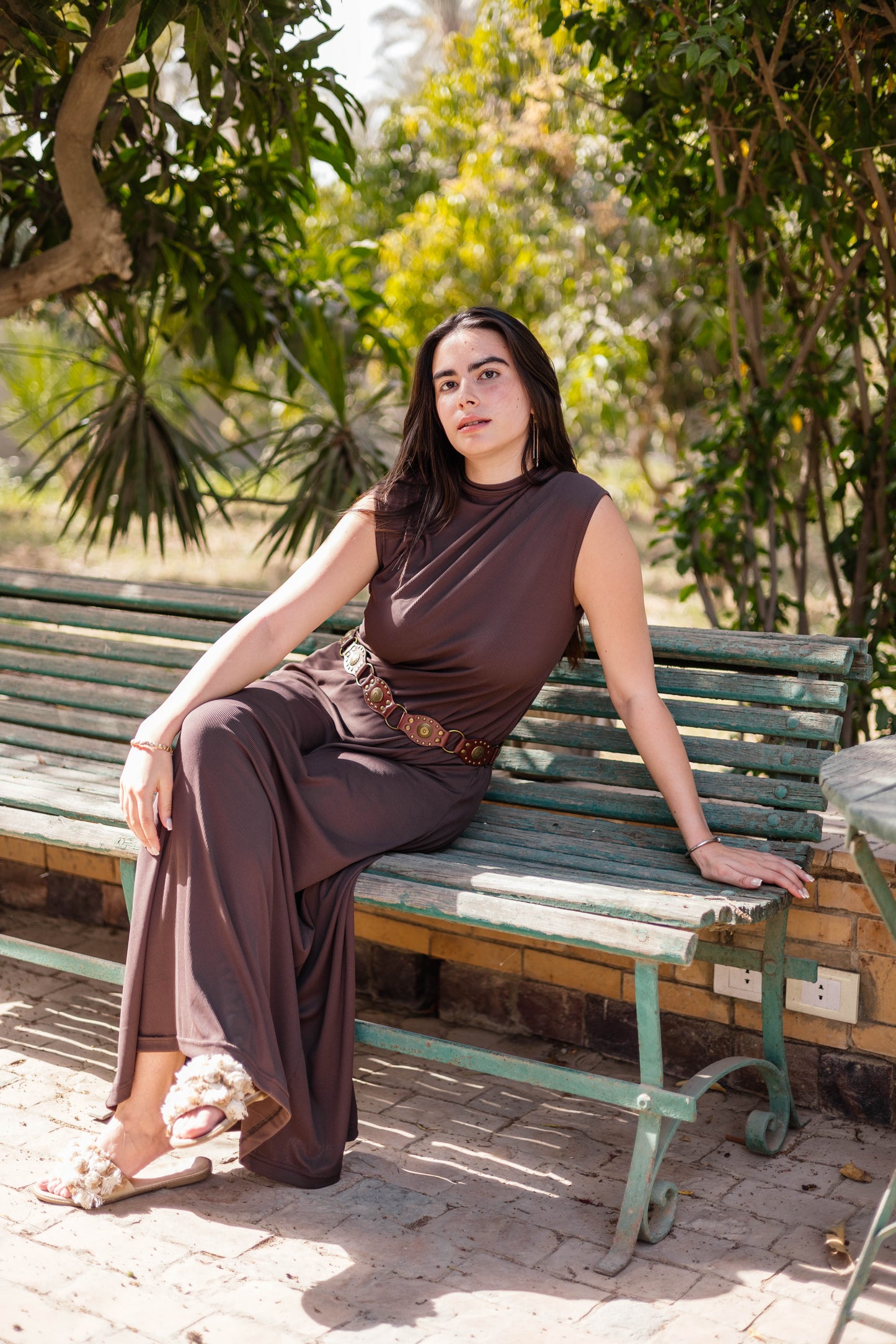 Brown Sleeveless Basic Dress