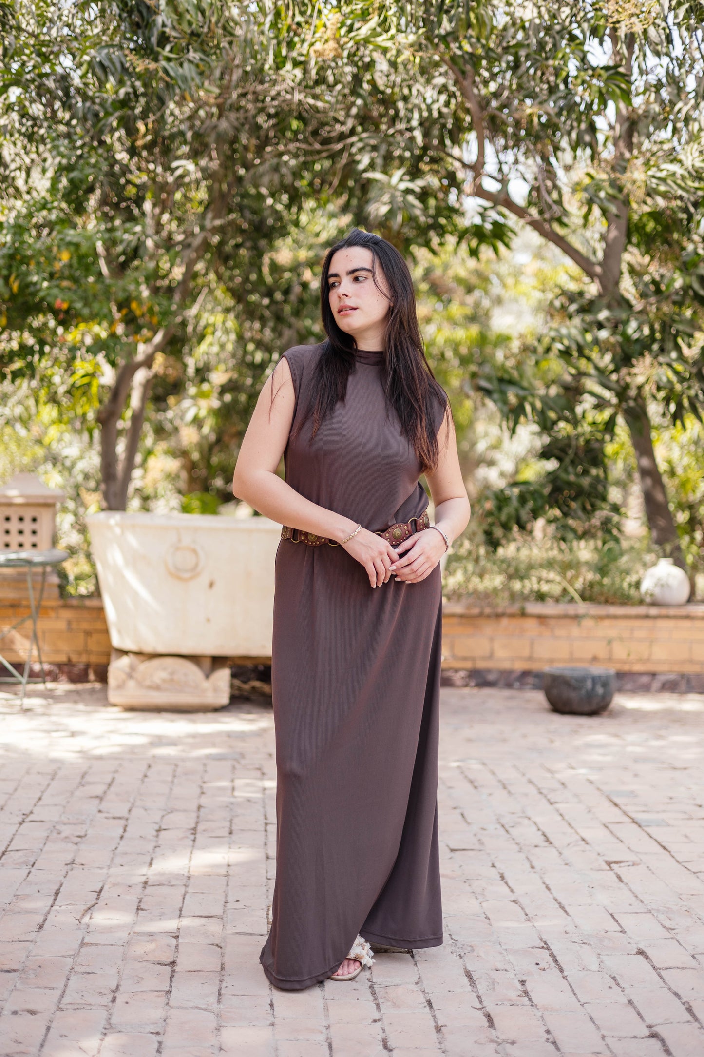Brown Sleeveless Basic Dress