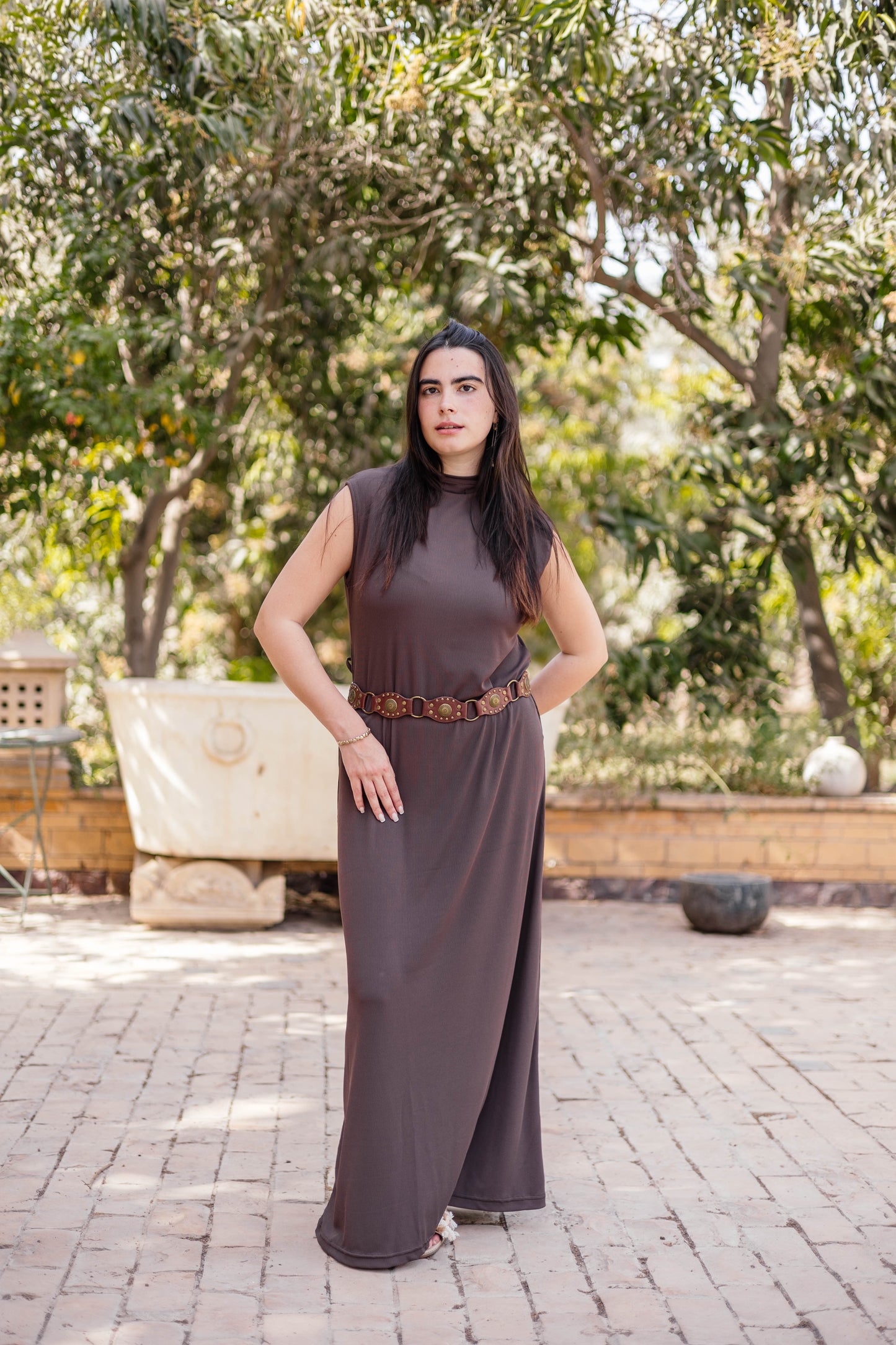 Brown Sleeveless Basic Dress