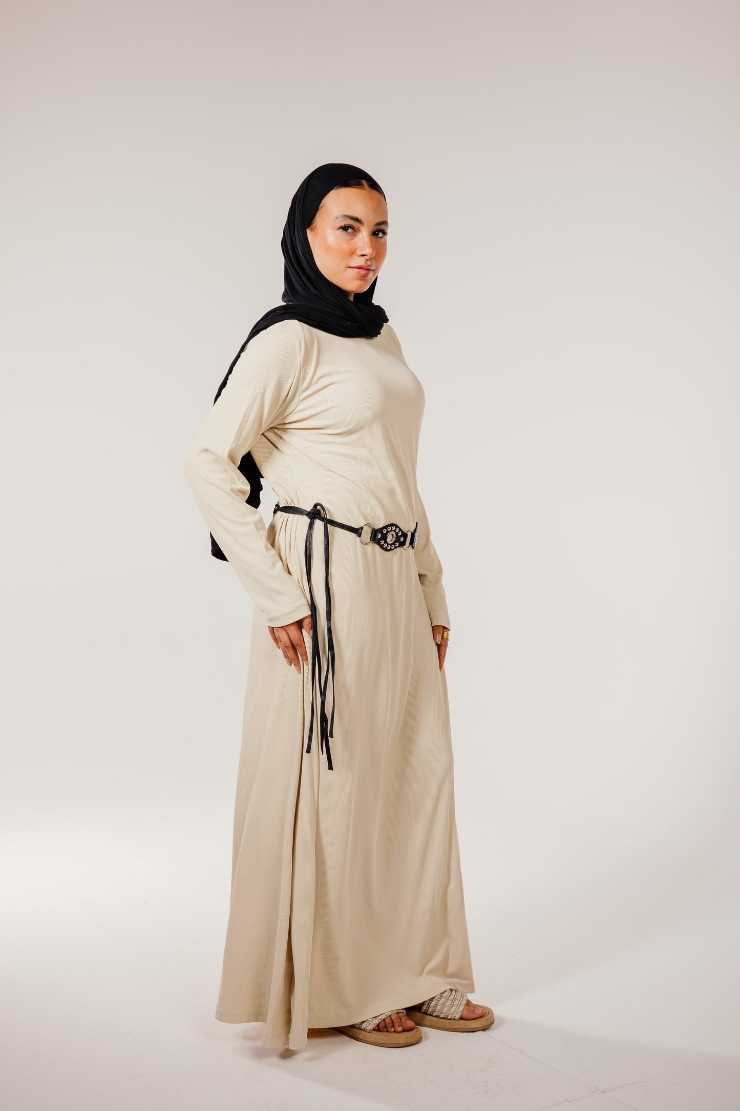 Beige Long Sleeve Basic Dress