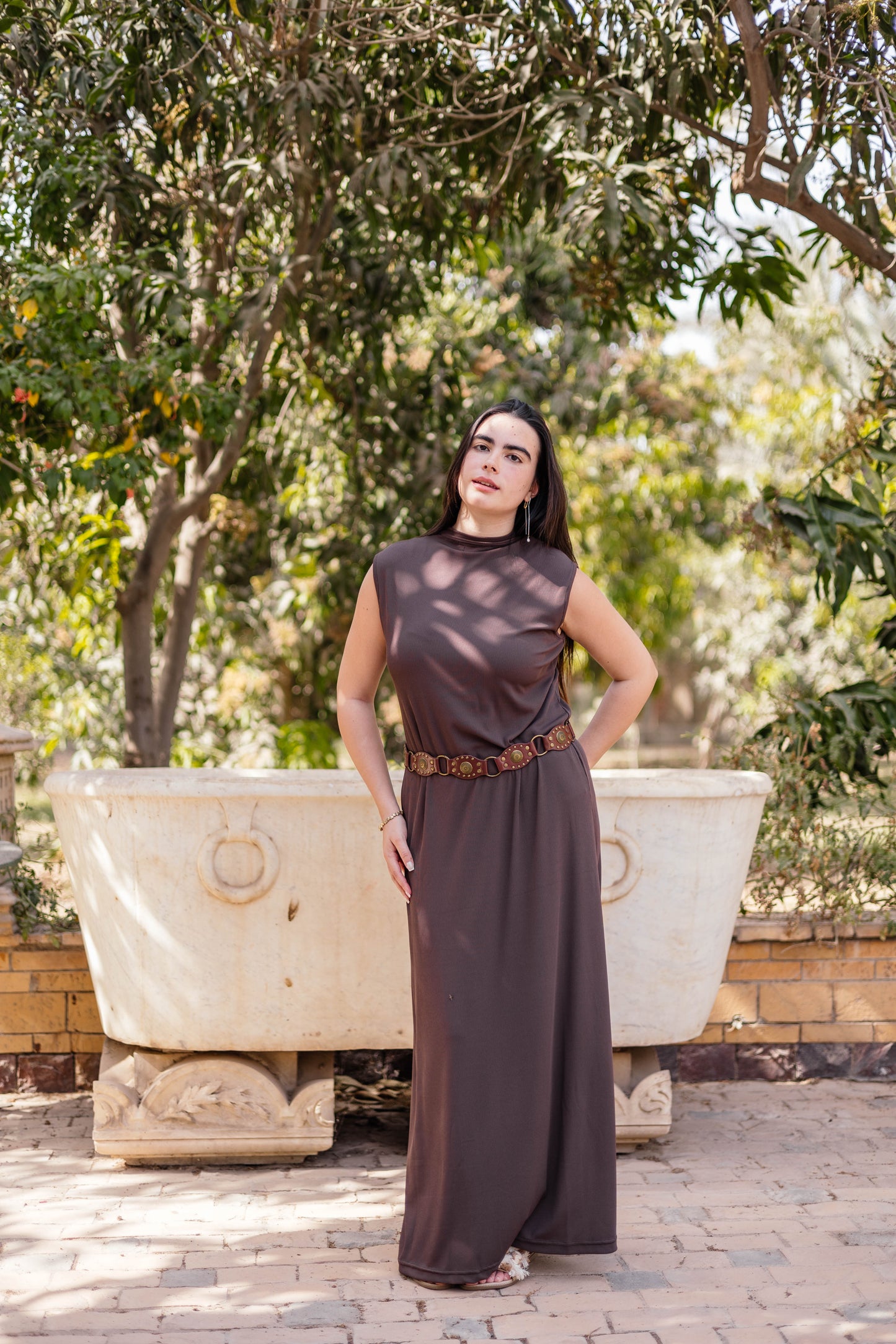 Brown Sleeveless Basic Dress